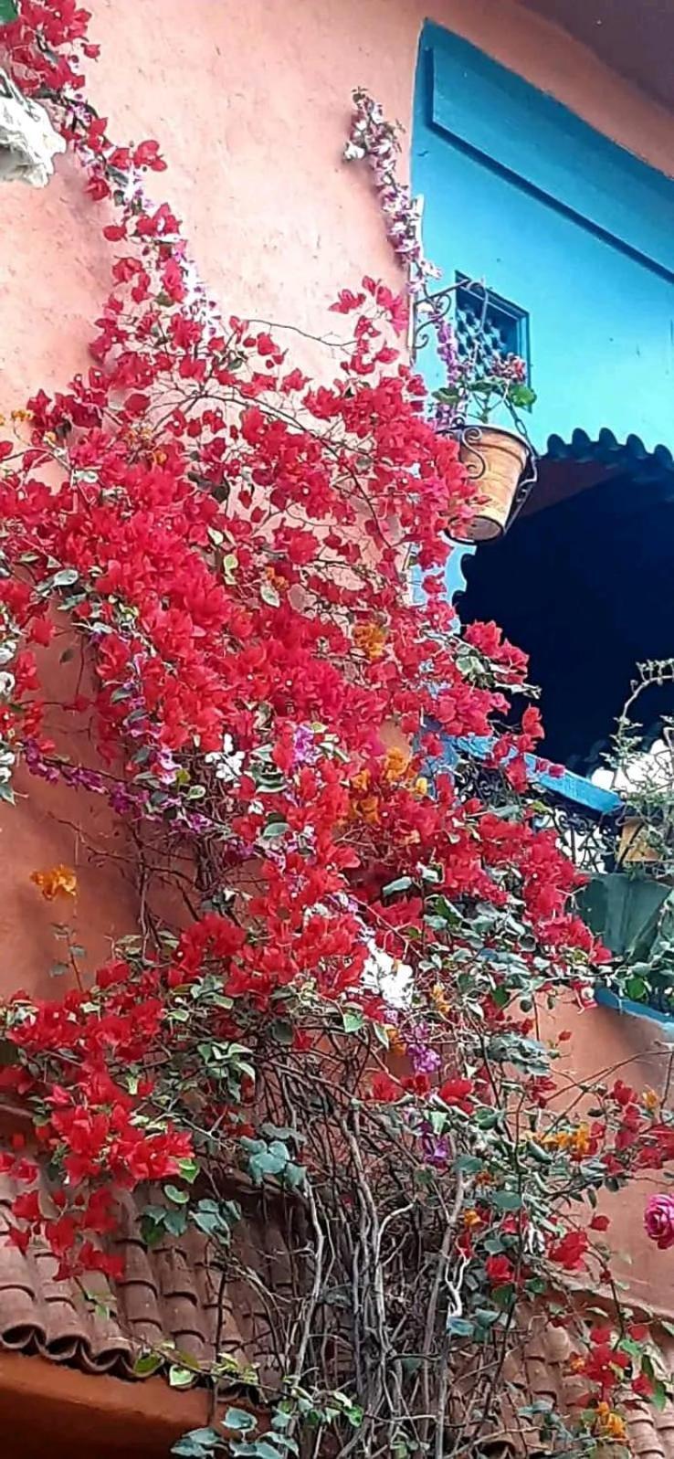 Maison Des Maitres Marrakesh Exteriör bild